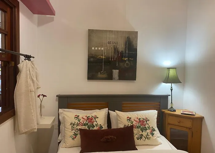 Loft Rural